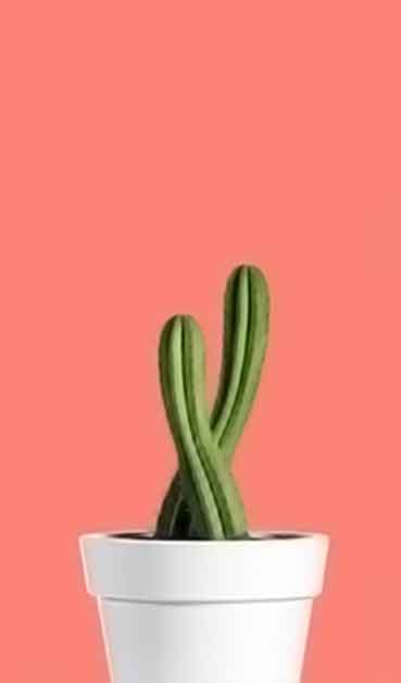 免费ddos压力测试平台